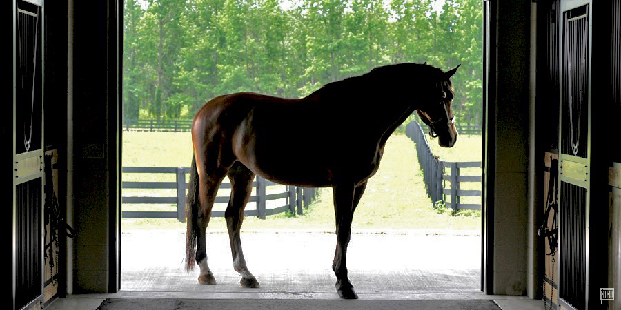 emerald-hill-farm-silhouette